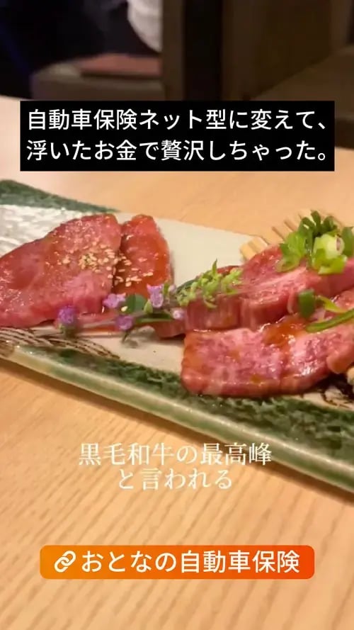 おとなの自動車保険